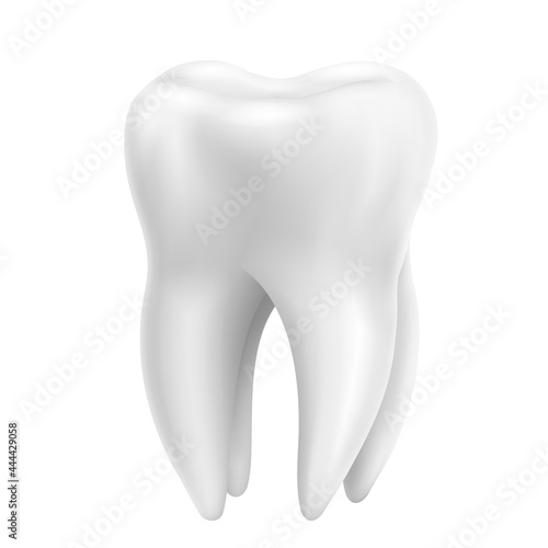 Tooth, realistic 3D vector isolated on white background. Dentistry, medicine and healthcare concept design element. Vector illustration.