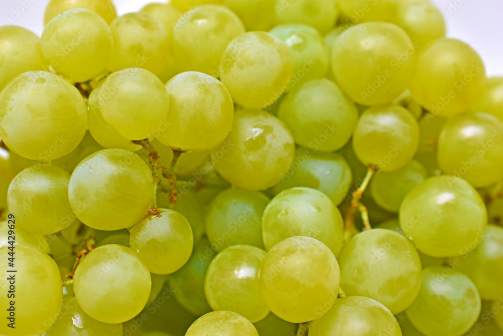 Green juicy delicious grapes on a white plate Green juicy delicious grapes on a white plate