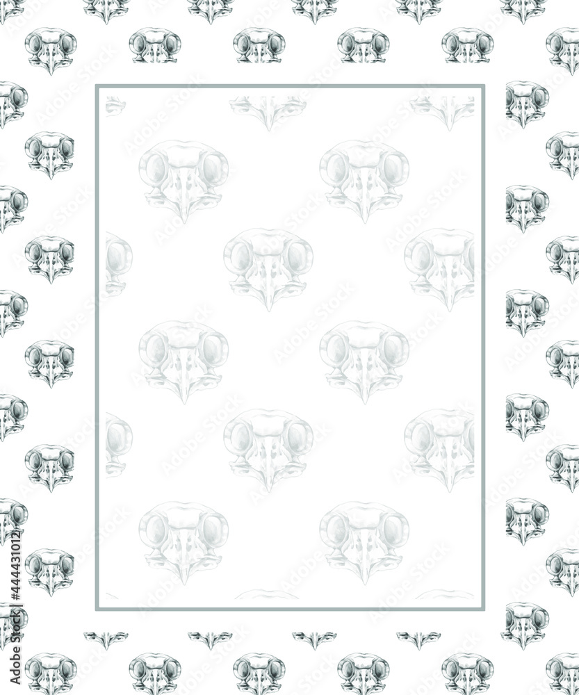 frame for card with a pattern of owl skulls
