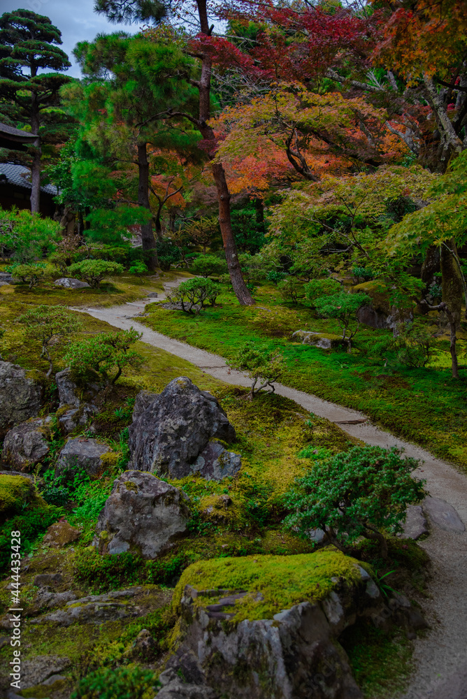 日本庭園 日本庭園