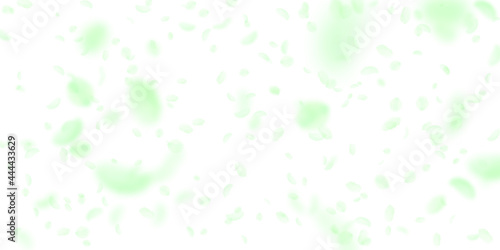 Wallpaper Mural Green flower petals falling down. Shapely romantic Torontodigital.ca