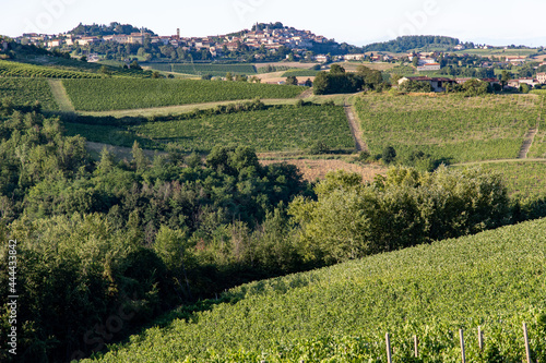 panoramic view of Monferrato hills Piedmont Italy photo
