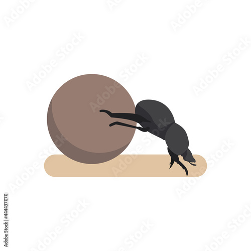 Scarabaeus sacer rolling a ball of dung.