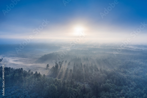 Dawn over the misty forest. View from the drone