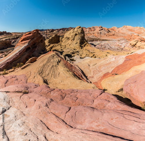 Multi Colored Sandstone Formations The Slick Rock  Valley of Fire State Park  Nevada  USA