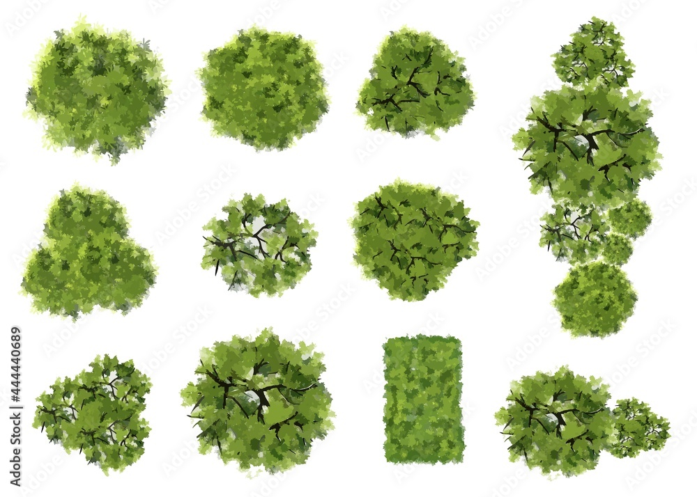 Vector green tree top view isolated on white background for landscape plan and architecture layout drawing,elements for environment and garden Vector green tree top view isolated on white background for landscape plan and architecture layout drawing,elements for environment and garden