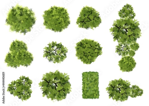 Vector green tree top view isolated on white background for landscape plan and architecture layout drawing,elements for environment and garden