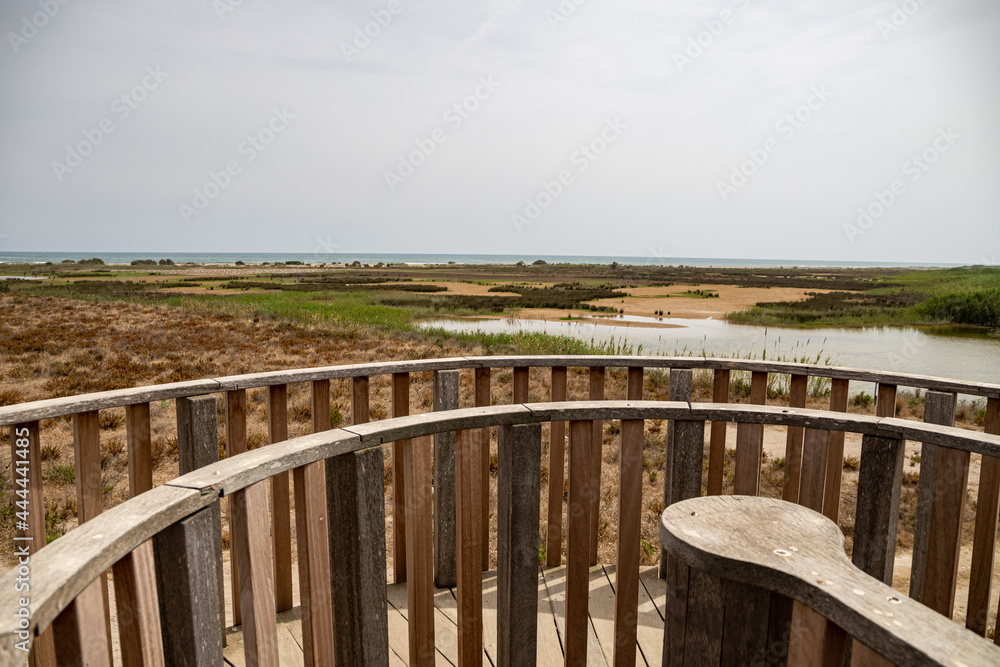 View from Mirador de la Desembocadura with a colony of seagulls, Delta del Llobreat, El Prat, Catalonia, Spain View from Mirador de la Desembocadura with a colony of seagulls, Delta del Llobreat, El Prat, Catalonia, Spain