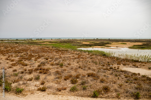 View from Mirador de la Desembocadura  Delta del Llobreat  El Prat  Catalonia  Spain