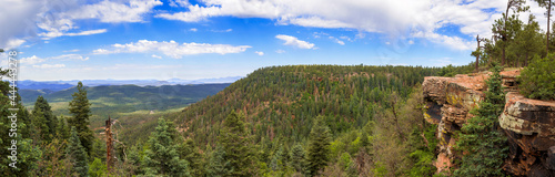 The Mogollon Rim Territory of Arizona
