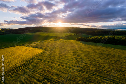 Panorama with forest and fields at sunset and sunbeams