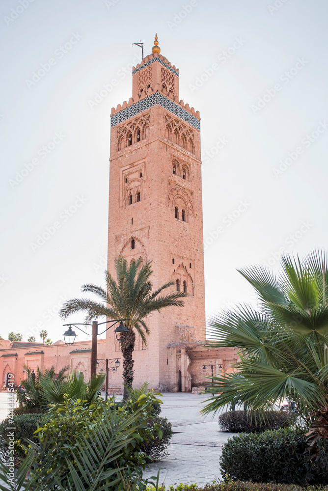 palms, historical building, africa, moroccan, marrakech, medina, morocco, mosque, attraction, islam, city, landmark, travel, holiday maker, traditional, square, town, tour tourism, arab, famous, build