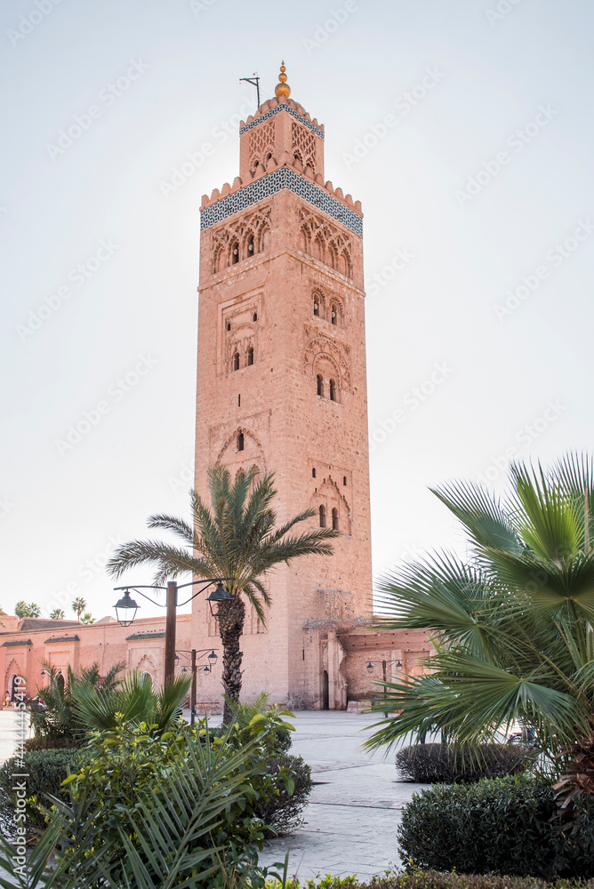 Fototapeta premium palms, historical building, africa, moroccan, marrakech, medina, morocco, mosque, attraction, islam, city, landmark, travel, holiday maker, traditional, square, town, tour tourism, arab, famous, build