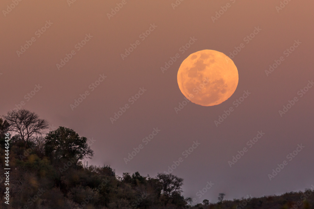 Full red moon in Kruger National park, South Africa