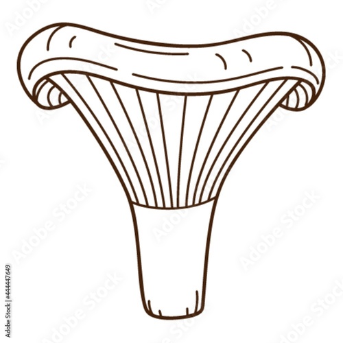Forest mushroom, chanterelle mushroom. A symbol of the forest, autumn, and harvest. Design element with outline. Doodle, hand-drawn. Flat design. Black white vector illustration. Isolated on white.