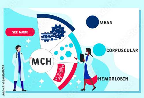 Vector website design template . MCH - Mean Corpuscular Hemoglobin, acronym medical concept. illustration for website banner, marketing materials, business presentation, online advertising.