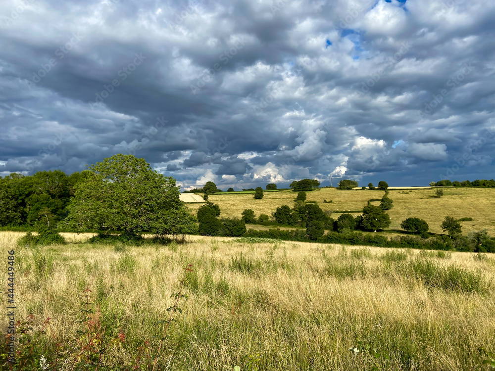 Fototapeta premium Prairie dans la Nièvre, Bourgogne