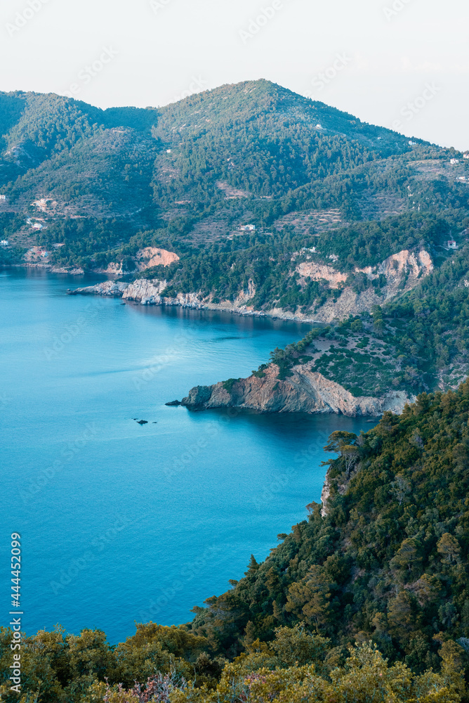 Vertical view of a wild coastline landscape with a blue sea and green vegetation
