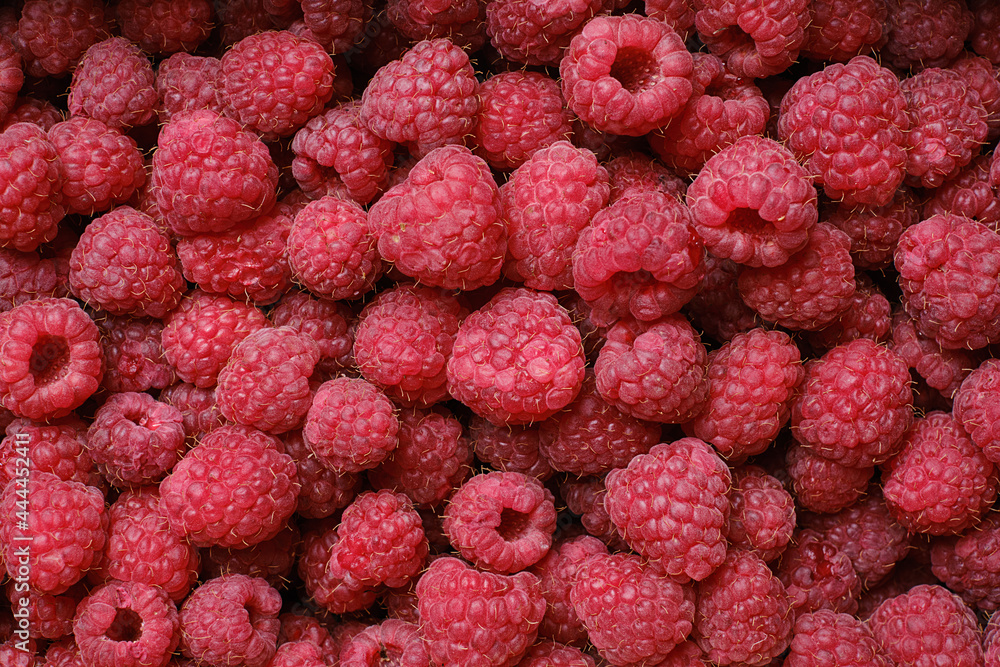Ripe raspberry background, close up. Selective focus Ripe raspberry background, close up. Selective focus