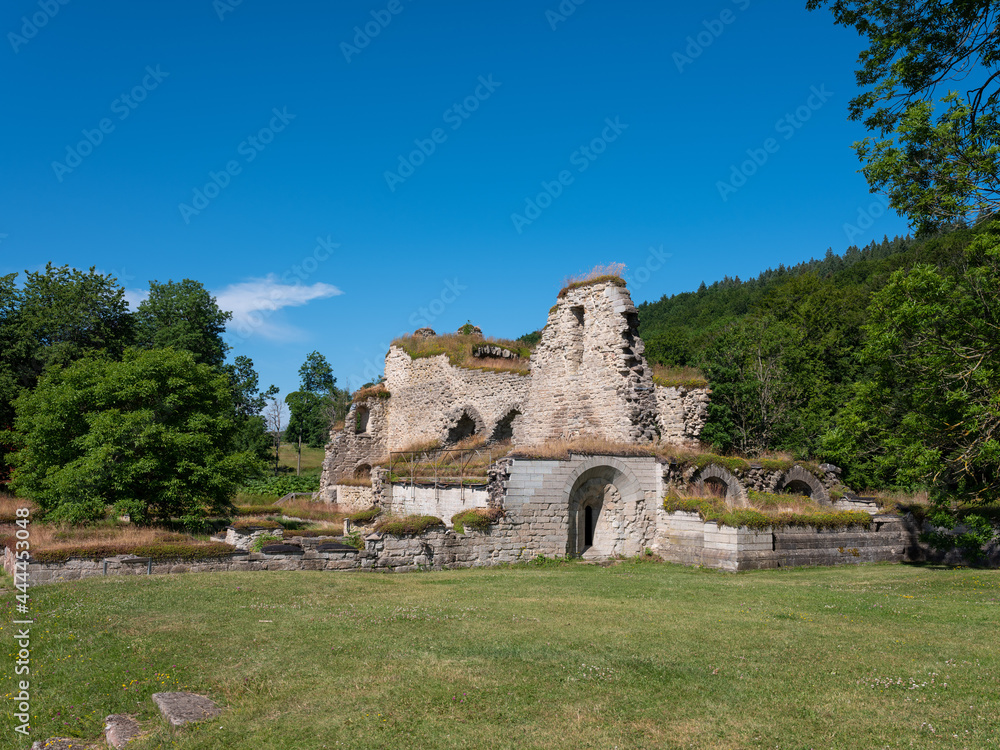 Ruins of Alvastra abbey in Sweden. Summertime and sunny day, No visible people.