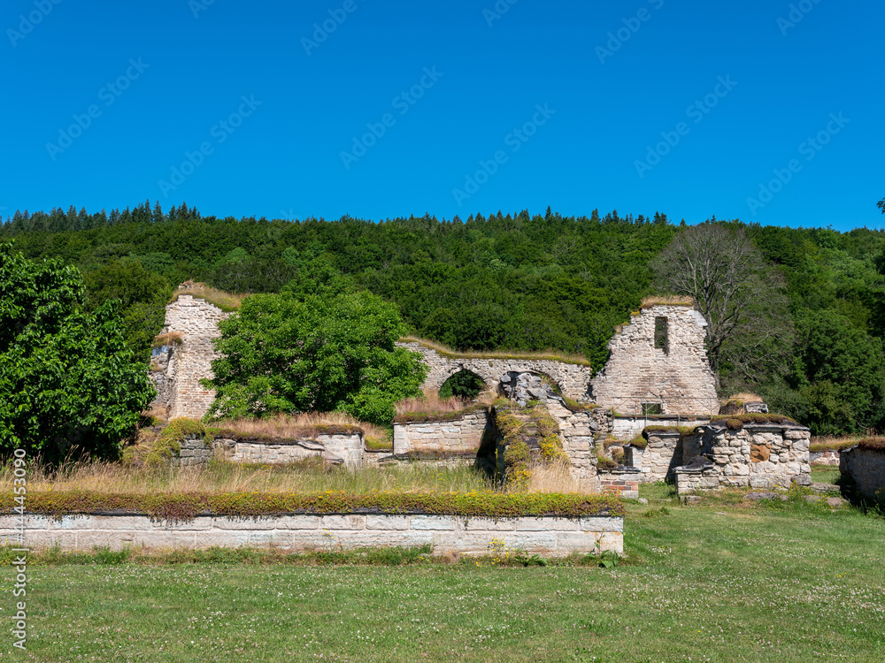 Ruins of Alvastra abbey in Sweden. Summertime and sunny day, No visible people.