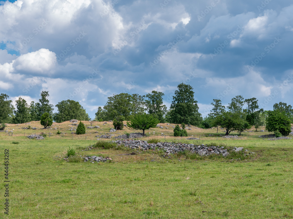 Cultural grass landscape with burial mounds from the viking age. Stones and trees scattered in the scene. Shot in Birka, Sweden, Scandinavia