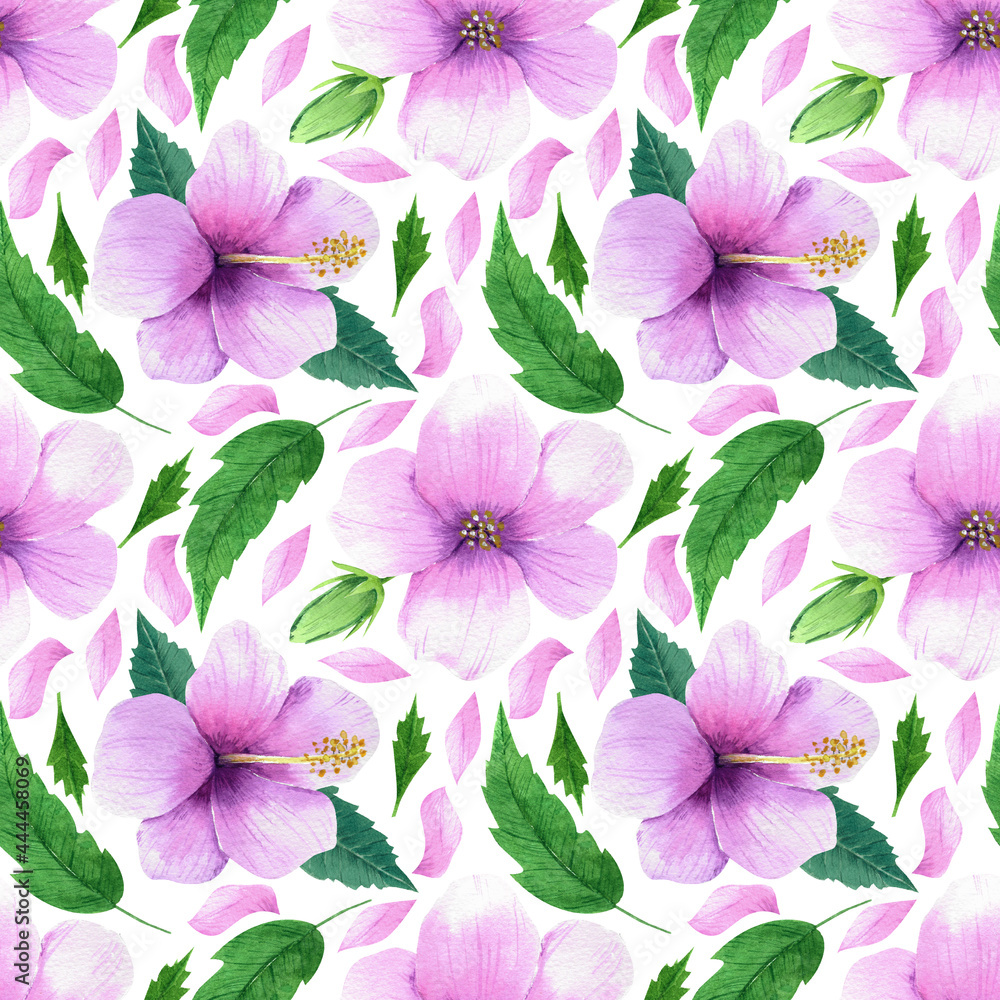 Hand drawn watercolour elements. Beautiful hibiscus flowers isolated on white background. 