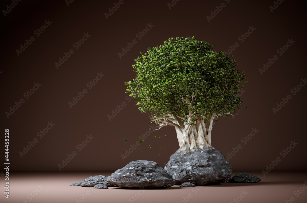 3D rendering, Bonsai tree into the light background 3D rendering, Bonsai tree into the light background