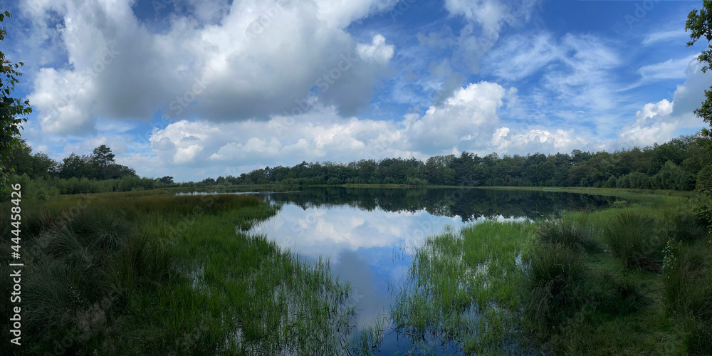 Panorama from a lake around Vledderveen