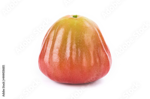 A wax apple isolated on white background