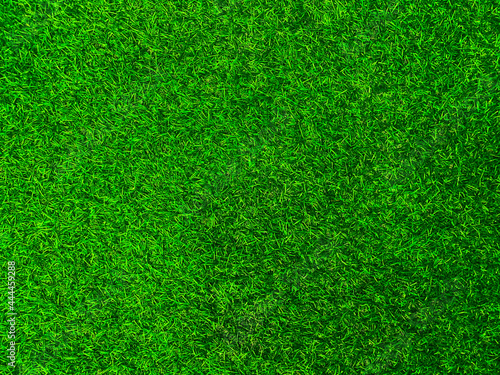 Green grass texture background grass garden  concept used for making green background football pitch, Grass Golf,  green lawn pattern textured background. © Sittipol 