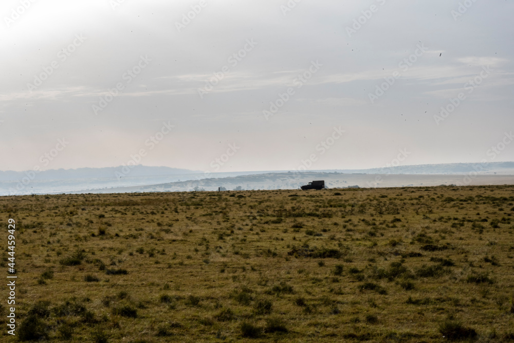 beautiful African landscape with trees and endless bush 