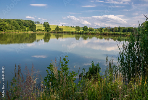 Landscape with a summer lake and reflections in the water