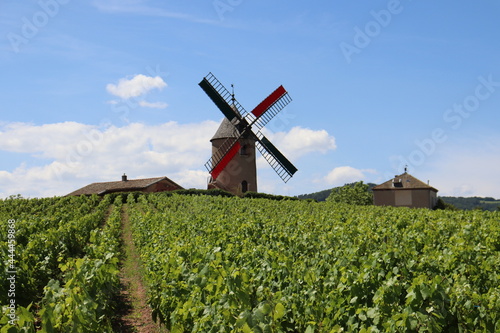 Domaine du Moulin à vent dans le Beaujolais.