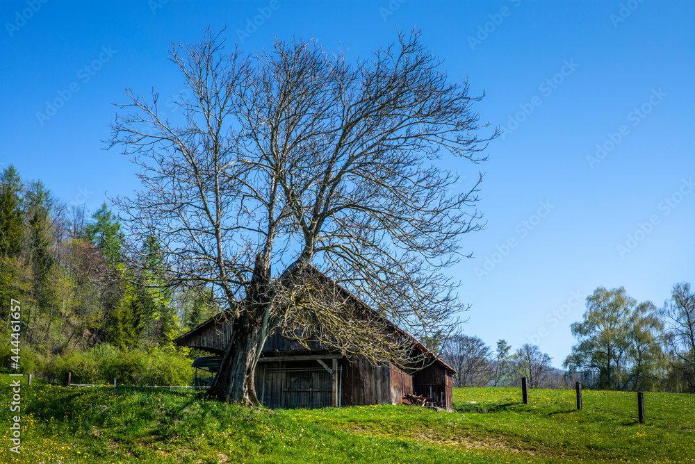 An old wooden stables used during the summer in Switzerland An old wooden stables used during the summer in Switzerland