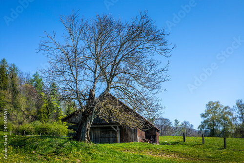 An old wooden stables used during the summer in Switzerland