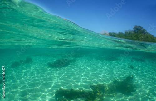 underwater scene , caribbean sea , Venezuela