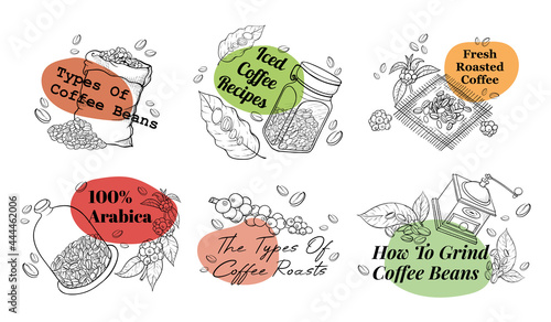 Collection of coffee beans label monochrome engraved vector illustration hand drawn roasted seeds