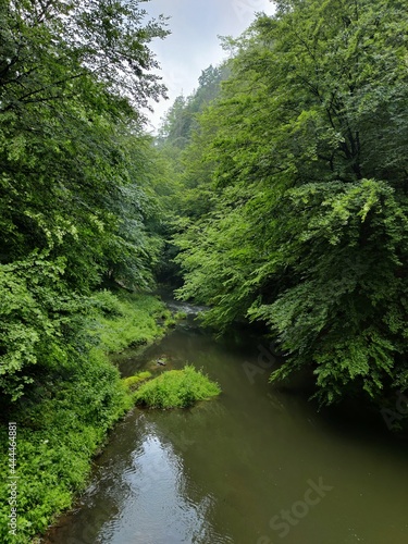 Fluß durch den Wald