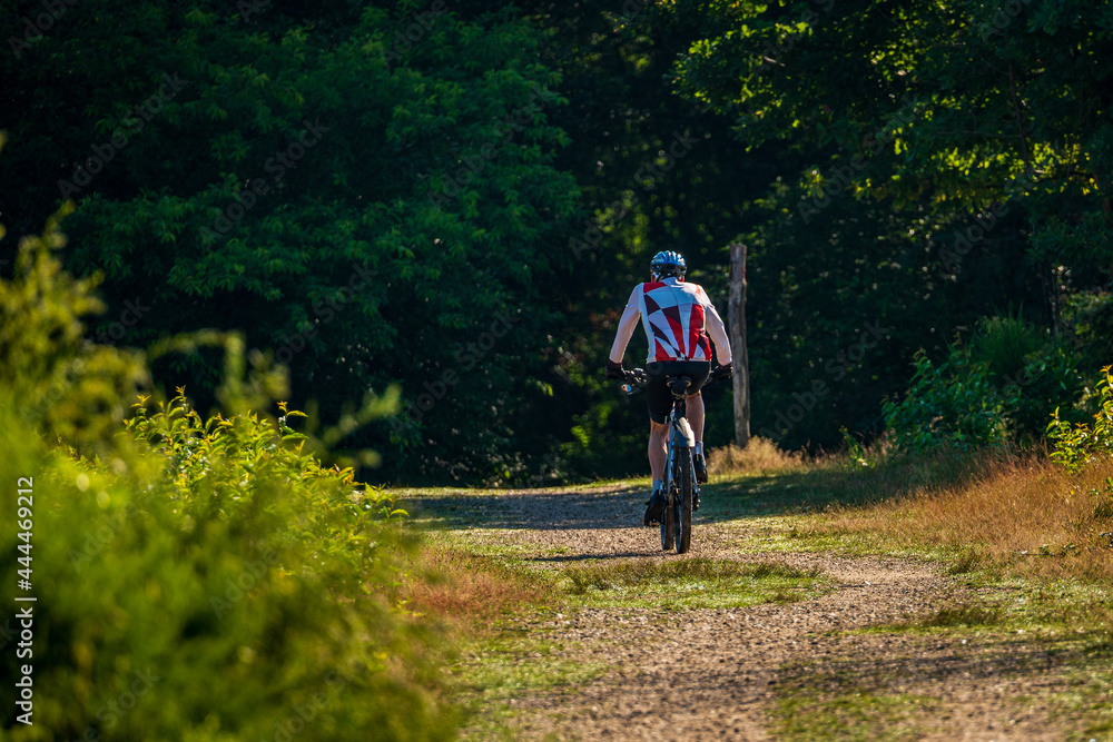 Obraz premium cyclist on a bike in the forest