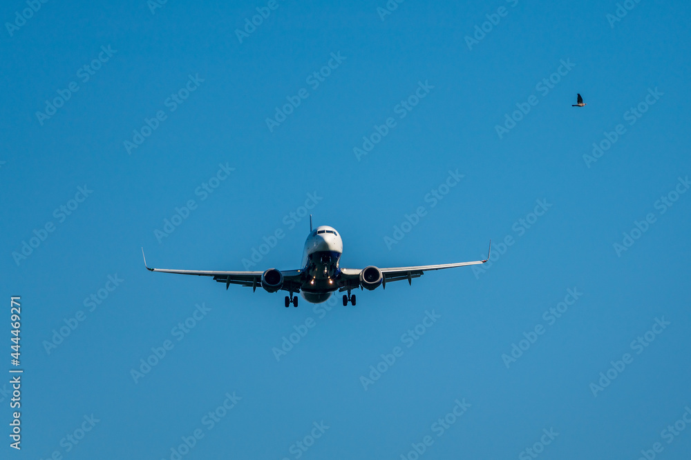 Fototapeta premium airplane prepares for landing with extended landing gear