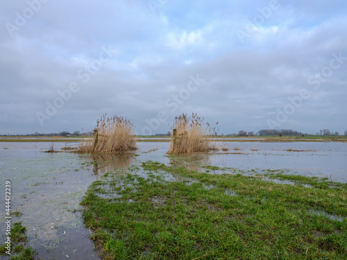 High water on the river IJssel photo