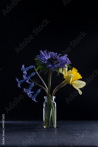 
bouquet of anemone narcissus and hyacinths