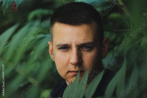  a man with dark hair in green leaves. masculinity, confident look.