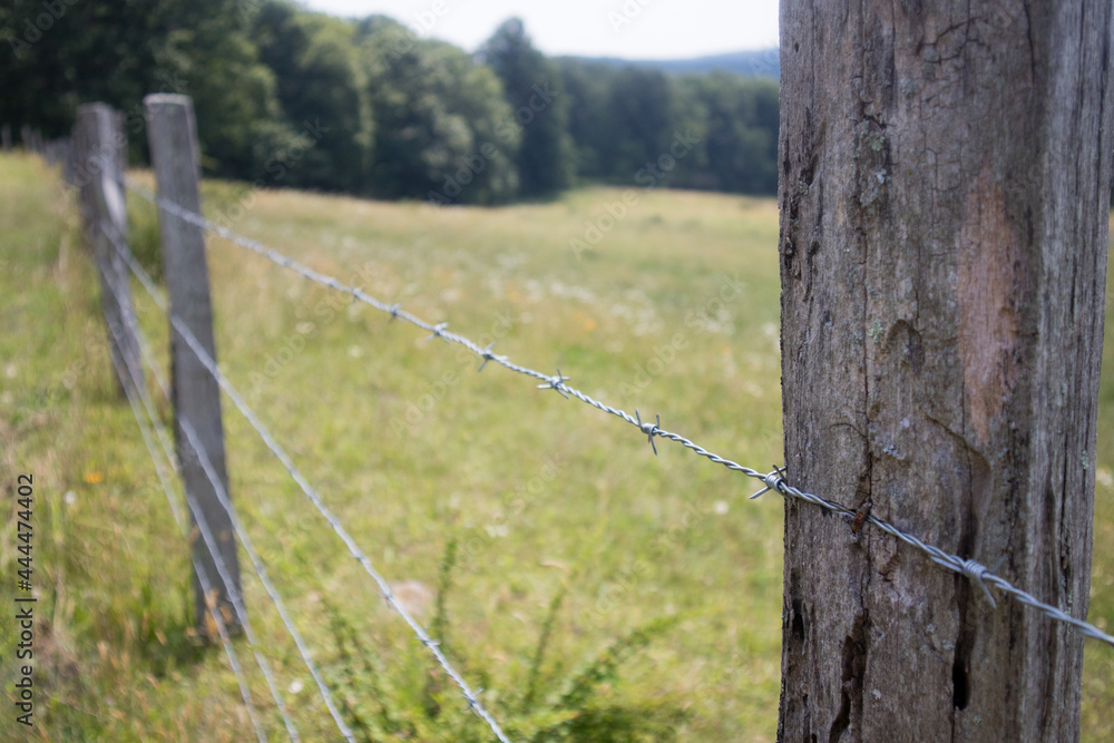 Barbed Wire Fence along a pasture on the Blue Ridge Parkway.