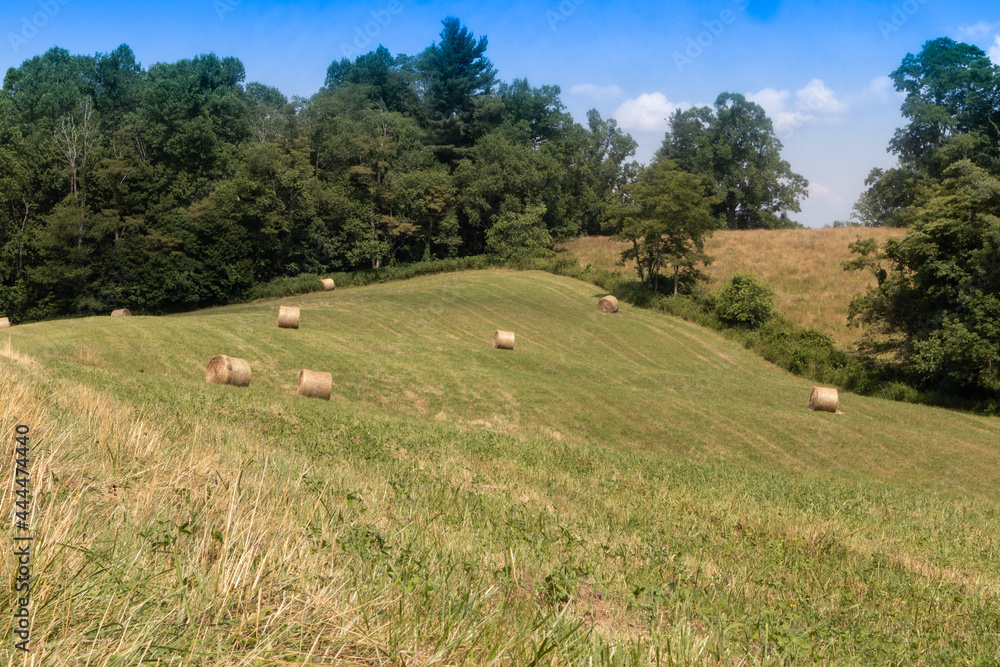 Round Hay Bales near Blue Ridge Parkway in VA