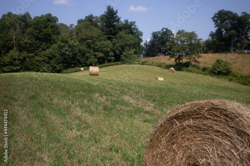 Round Hay Bales near Blue Ridge Parkway in VA