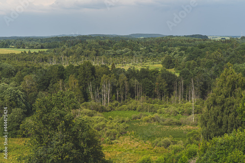 The nature scenery of Lithuania. Stunning green and forest landscape