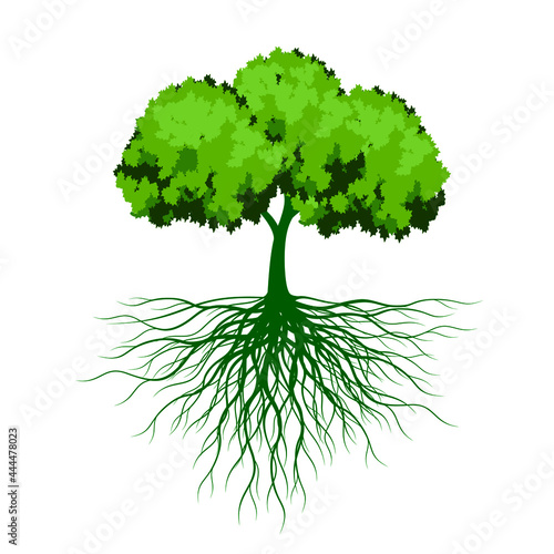 Tree isolated on white, Vector Illustration.