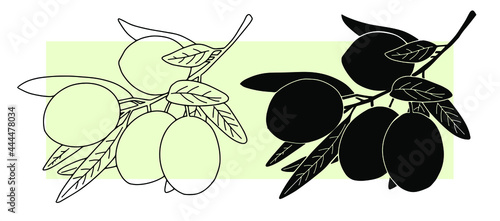 Olive branch drawn with black ink. Vector